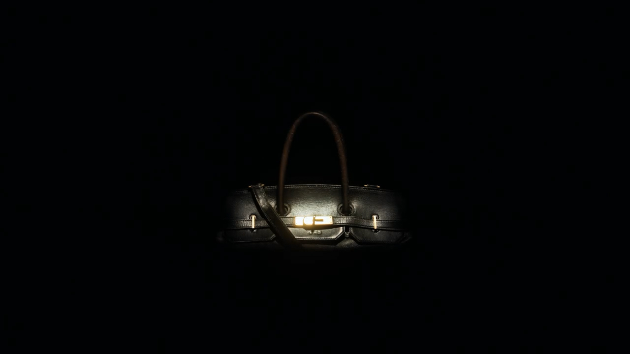 The ORIGINAL BIRKIN